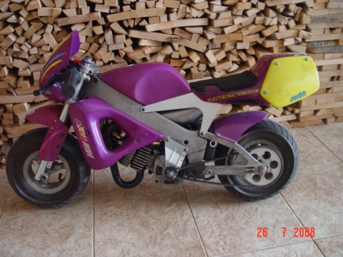 minibike 2.JPG